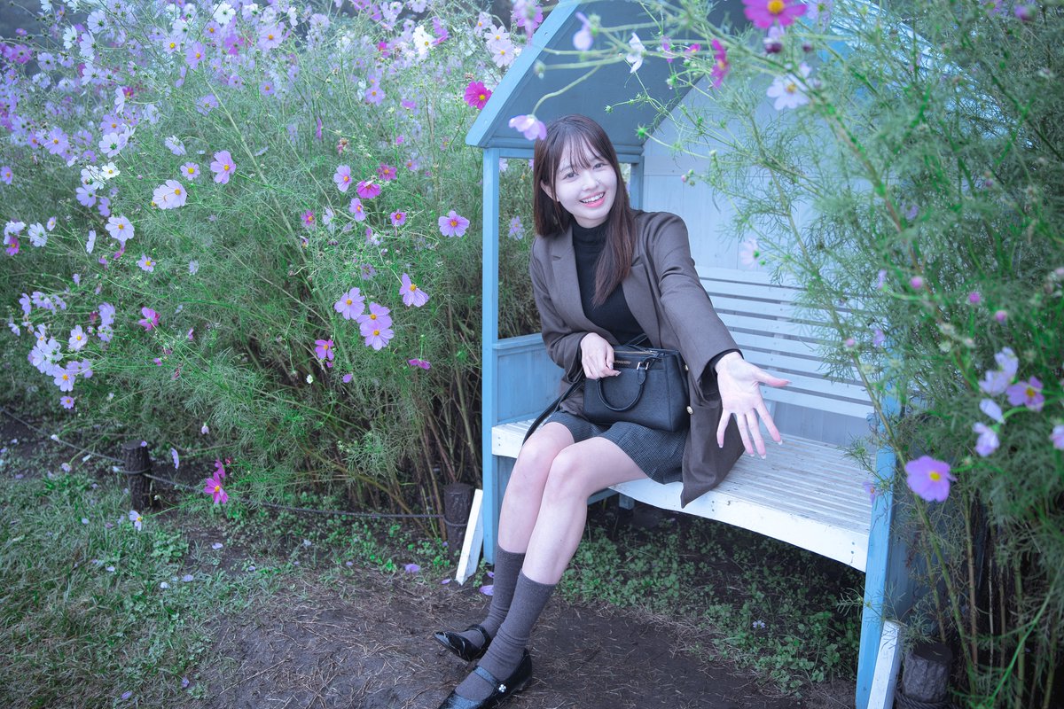 ［ひまわり⭐︎さん専用］カメラ ポール&アート@HisBowtieisReallyaCamera (@HisBowtieCamera