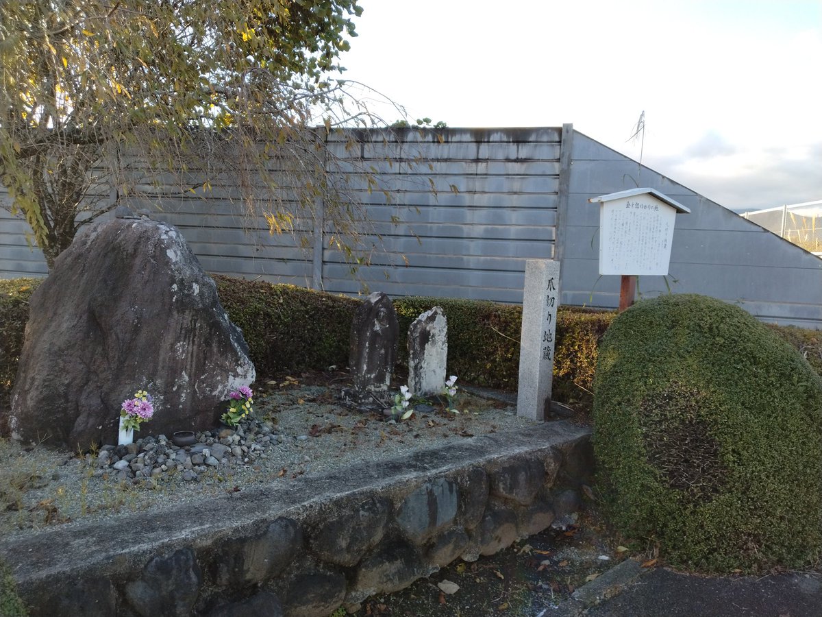 足柄のカメ on X