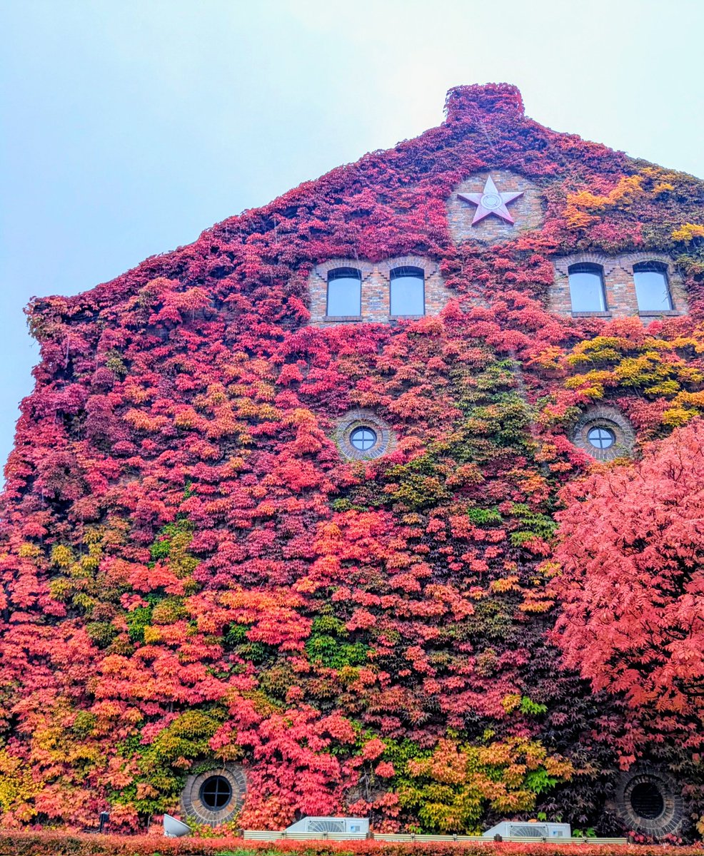 【超希少】 関所札 べらん明王 超希少】 関所札 べらん明王 超希少】 関所札 べらん明王