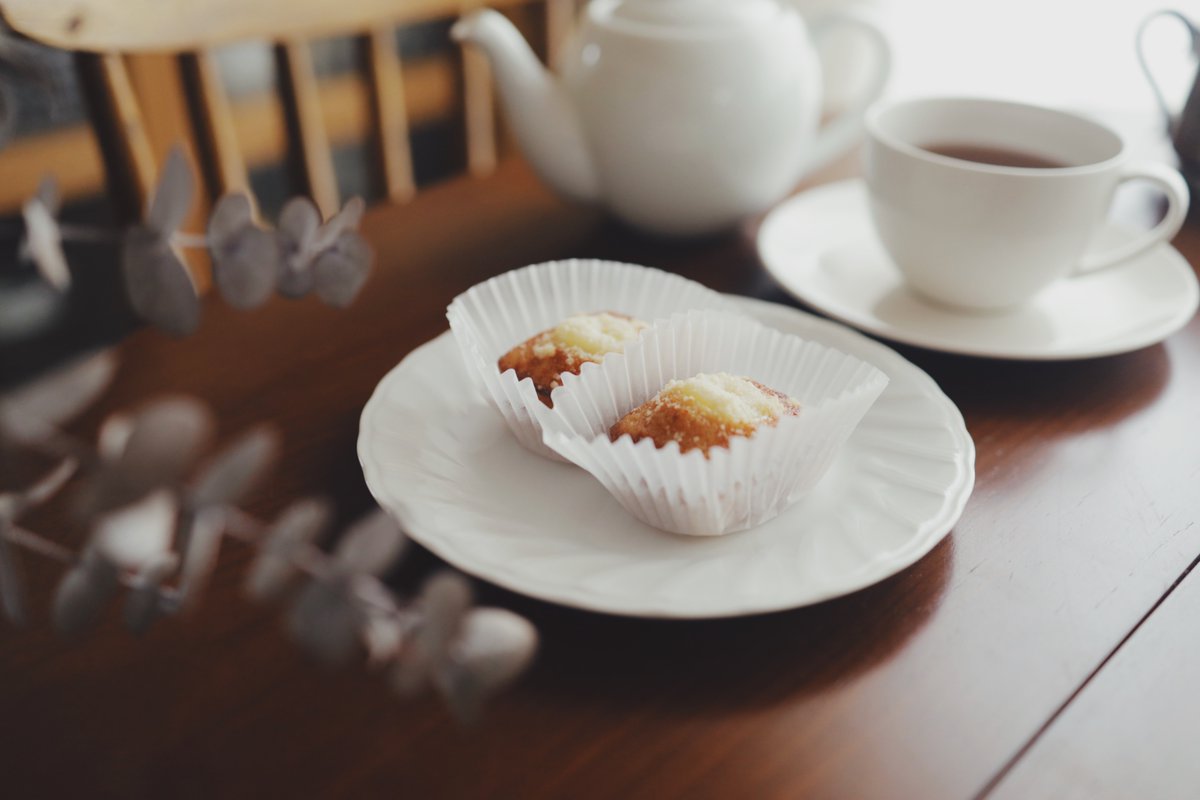 喫茶トラノコク tweet media