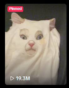 Gm

$Ghost Cat continues to go viral
