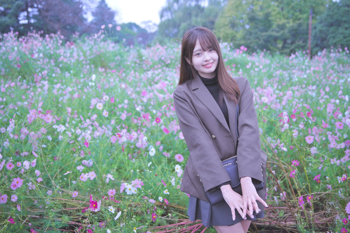 コスモスです❗️❗️❗️ ⍨ on X