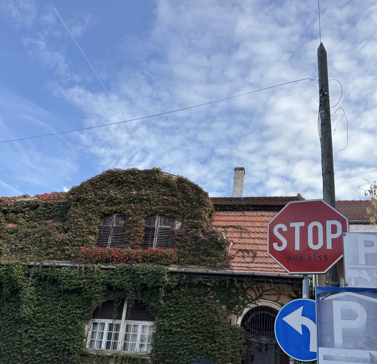 Canım oradeam her yerde sinyali çakıyo