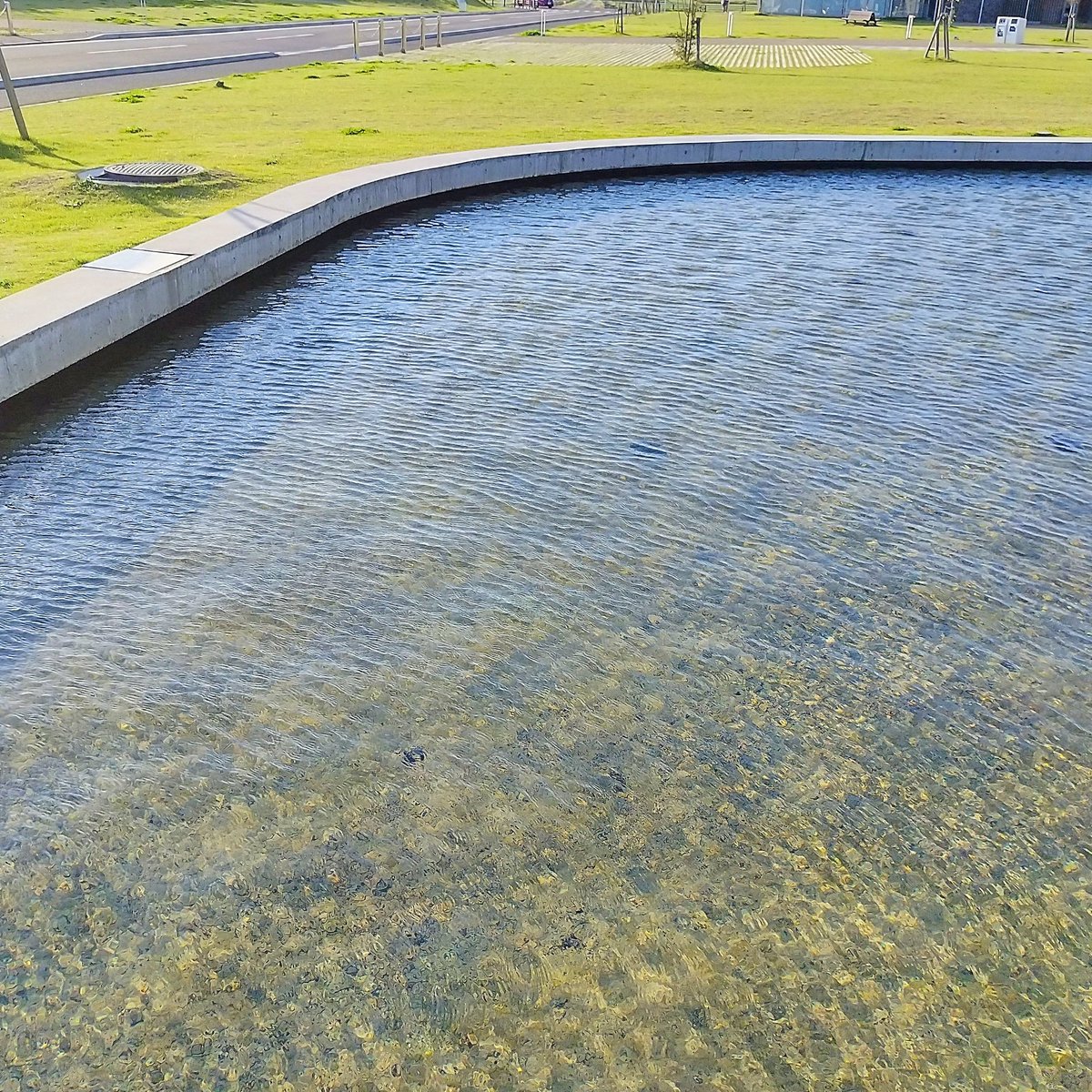 ちゃんぴな» on X