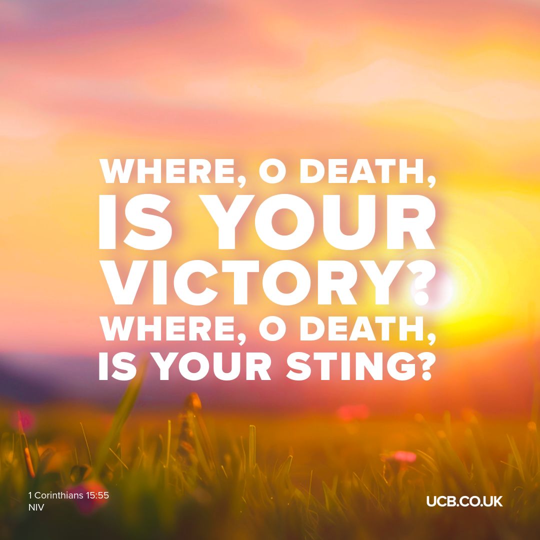 UCB tweet media
