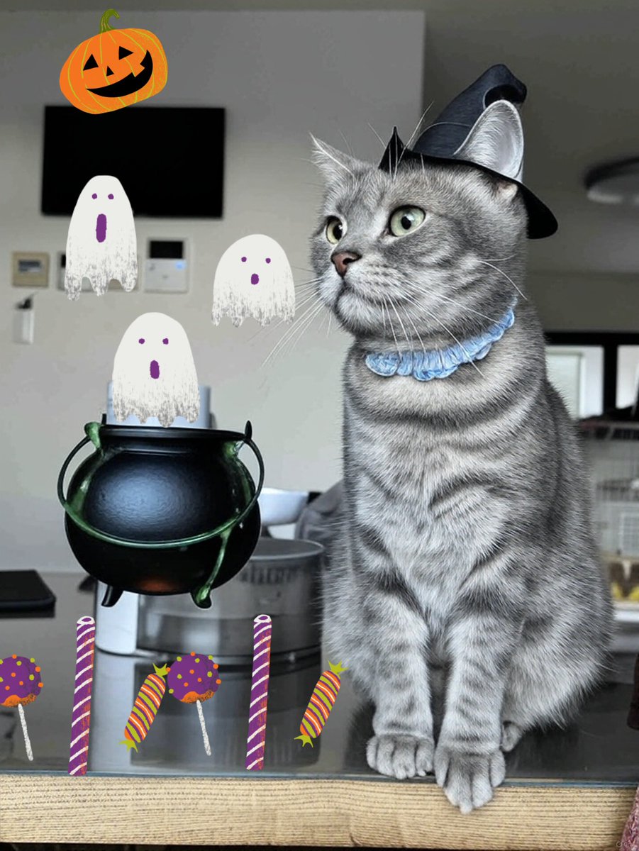 momi (@tomomi8momi) / Posts / X