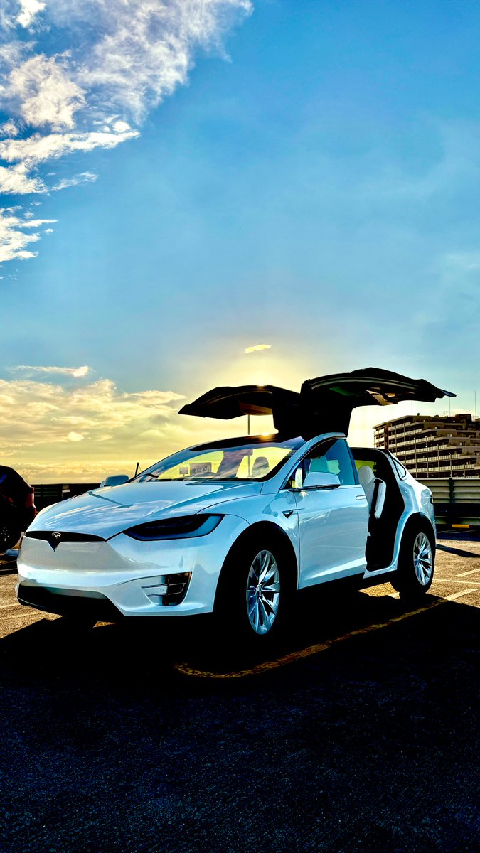 カステラ @テスラ旅/陸海空アクティビティ tweet media