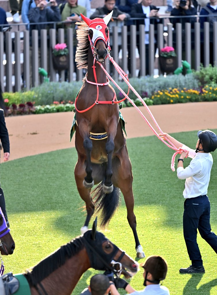 E3%83%8A%E3%82%AA%E3%83%9F%E3%83%A9%E3%82%A4%E3%83%88%E3%83%8B%E3