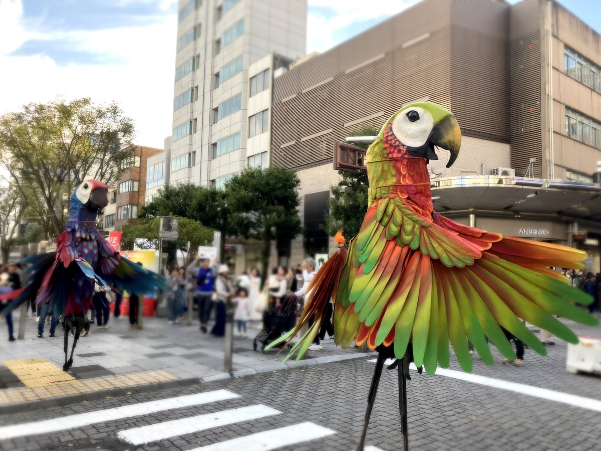 かおりん🍵 (@kyaorin34) / Posts / X