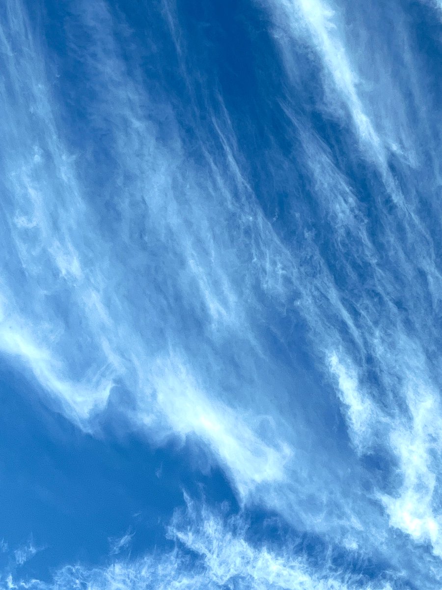 🎀ほほえみ🎀 on X