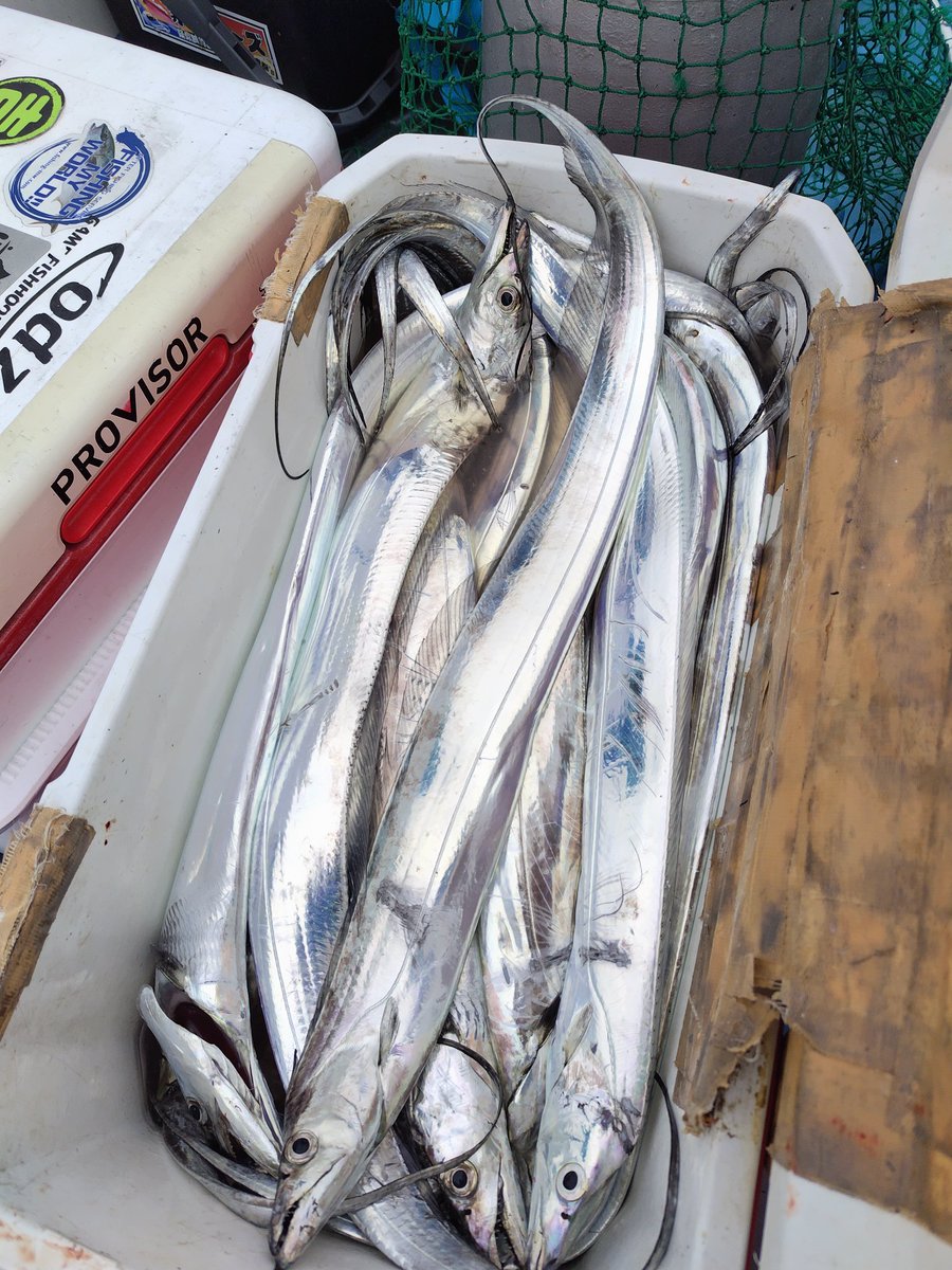 サーモンページ② 中古 ジュン＆ロペ JUN&ROPE サンバイザー フリー イエロー 黄色