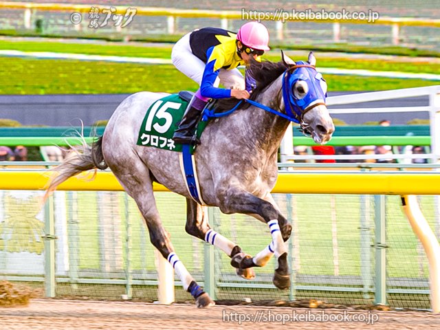 シン・モノポライザー🐴 (@1polizar) / Posts / X