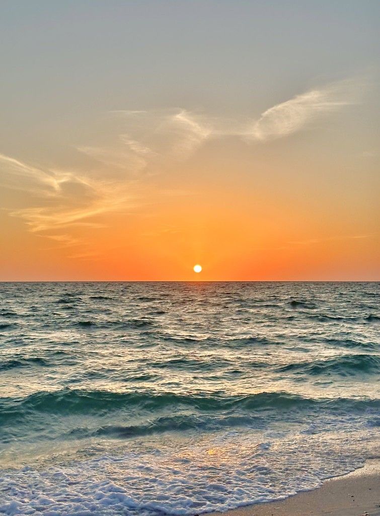 ocean (@hawsett4) on Twitter photo 