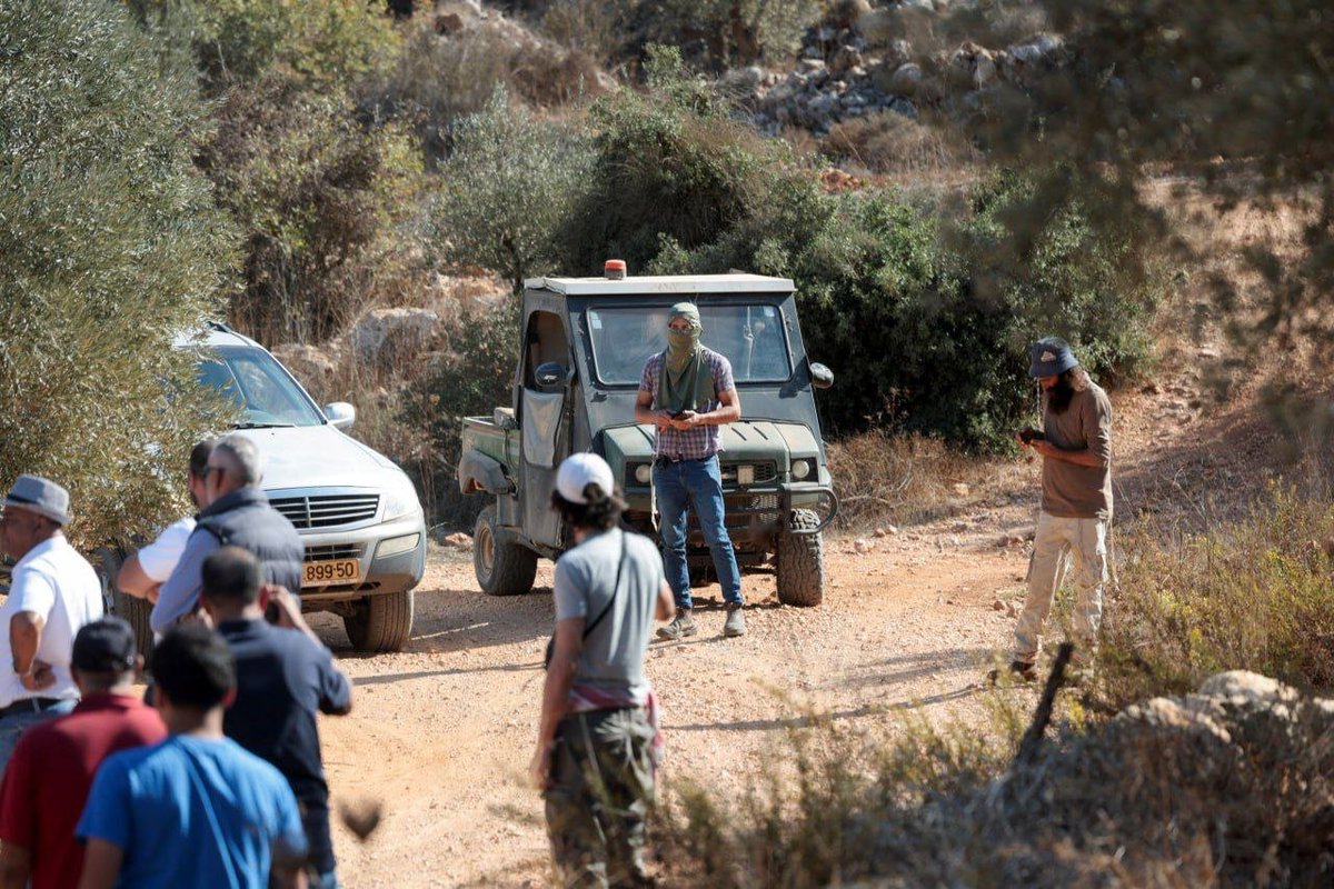 The UN Office for the Coordination of Humanitarian Affairs (OCHA) reports that this year’s olive harvest season in the occupied West Bank has seen the highest number of settler attacks in five years.