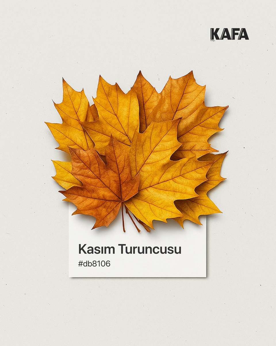 Hoş geldin kasım 🍁