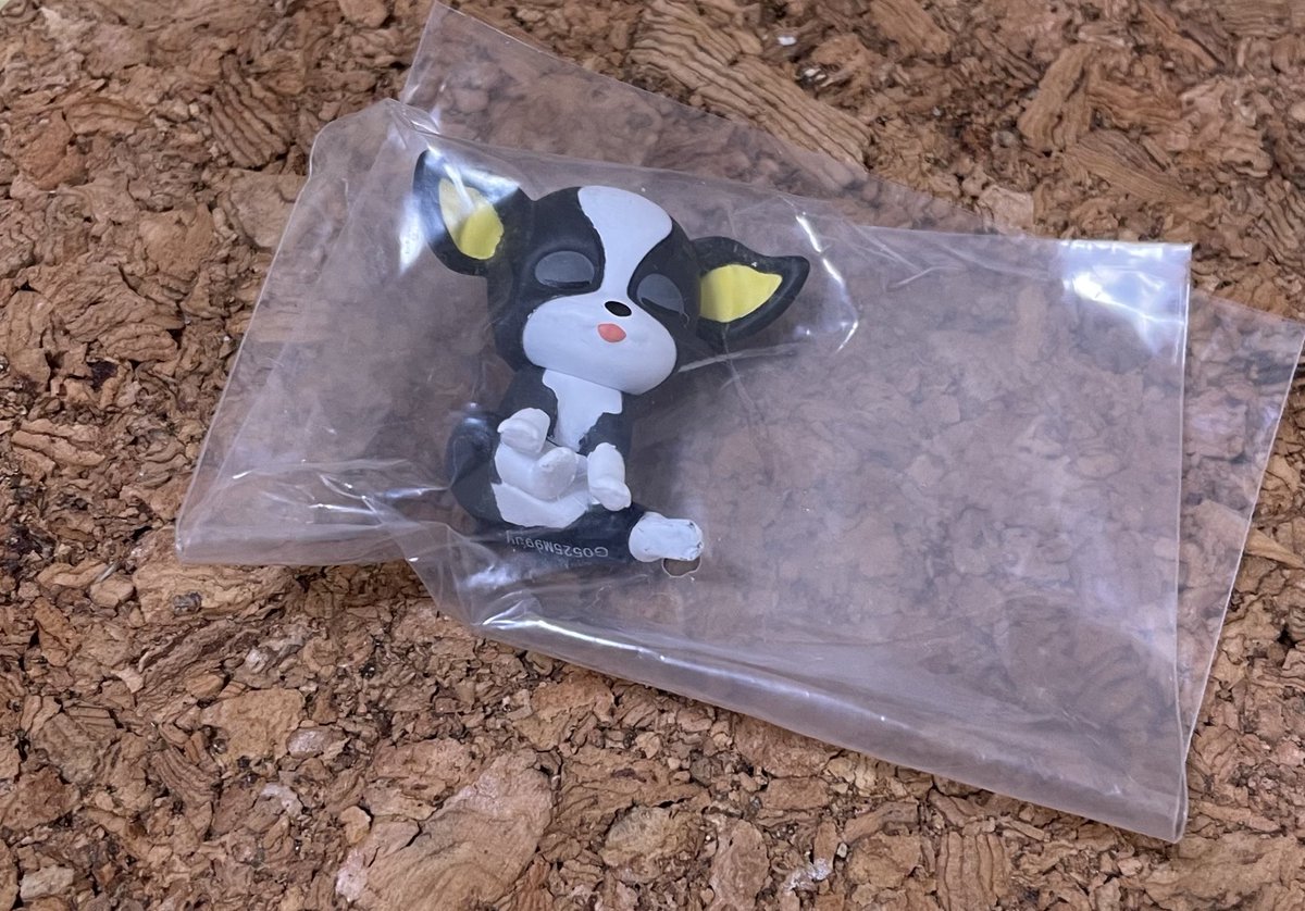 Pちゃん tweet media