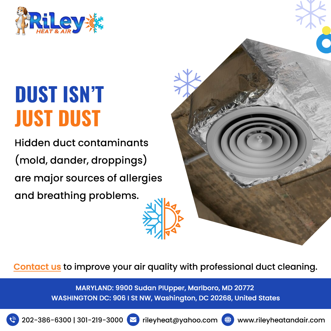 The Hidden Dangers of Dust: Why Duct Cleaning Matters

Dirty ducts are full of mold, dander, and allergens that affect your indoor air quality. Professional duct cleaning prevents health issues &amp; improves HVAC efficiency.

Contact Riley Heat &amp; Air.

#CleanAirMatters #DuctCleaning