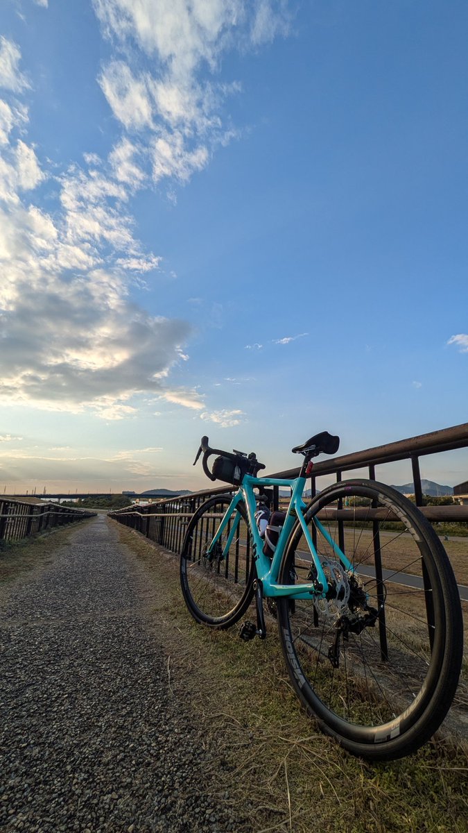 人生=色 国内1月9日発売予定】アディダス オリジナルス ZX トーション 全3色