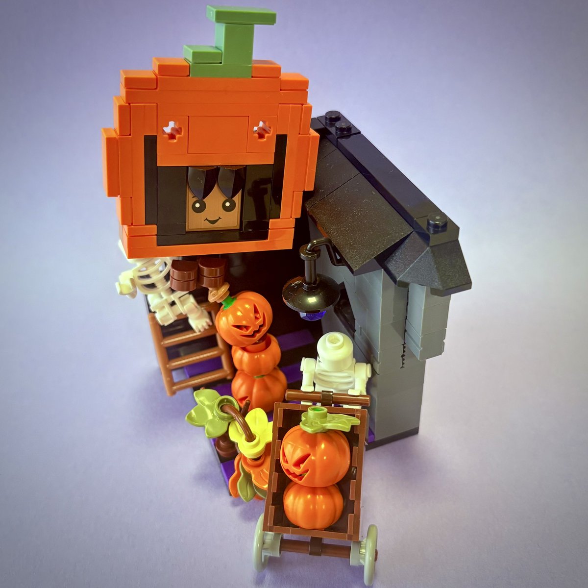 にすと👨‍🌾 (@2lnslJxz79vhxnN) / Posts / X