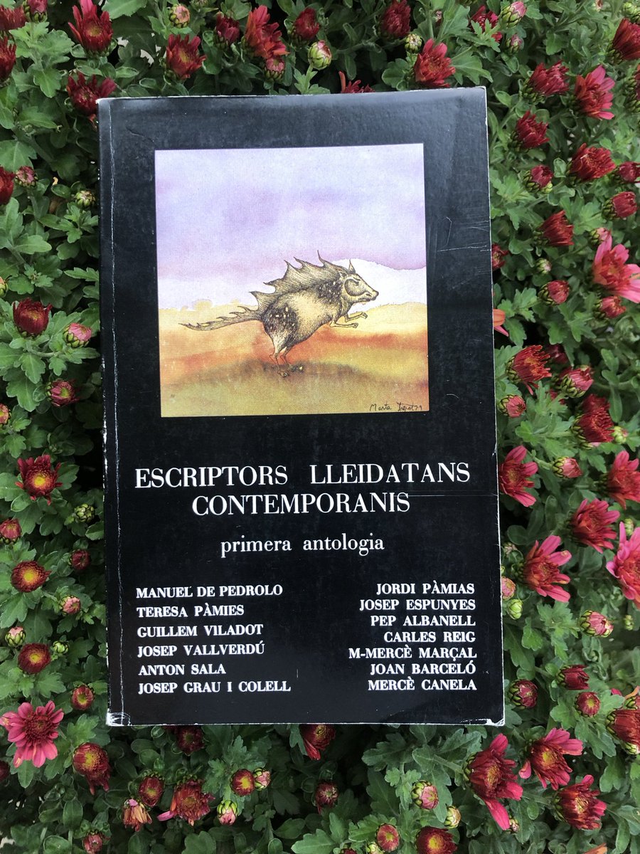 Any Joan Barceló i Cullerés tweet media