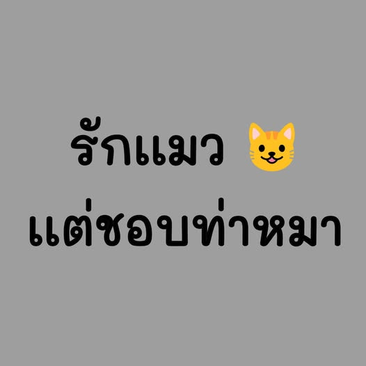 ฟ้าใส🌼 (@rkiss91295) on Twitter photo 