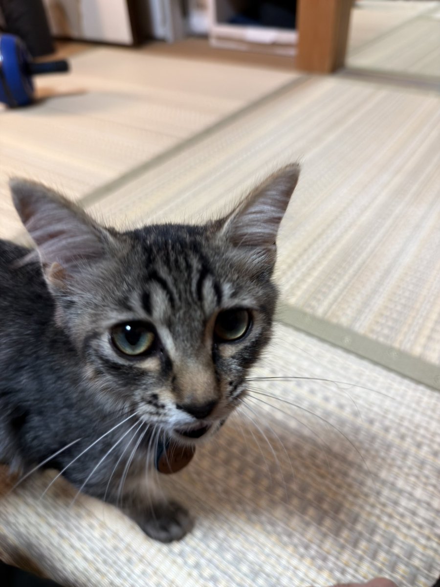 愛美 (@96sakimanami) / Posts / X