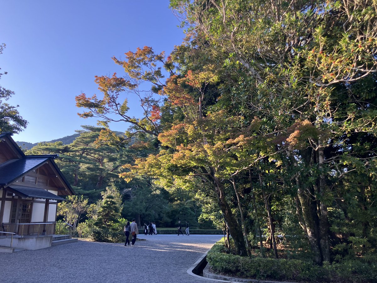 ふくもっちゃん on X