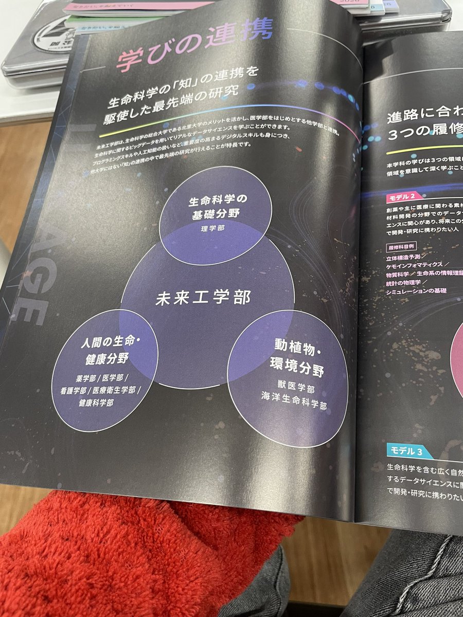 本日の進学相談会の来客は結局…

ZERO~♪

でもミニ講演会のための呼び込み頑張ったのでヨシとします。
それに待機時間で全学部のパンフレット読破できましたしね😆

#北里大学
#グリーン環境創成科学科
