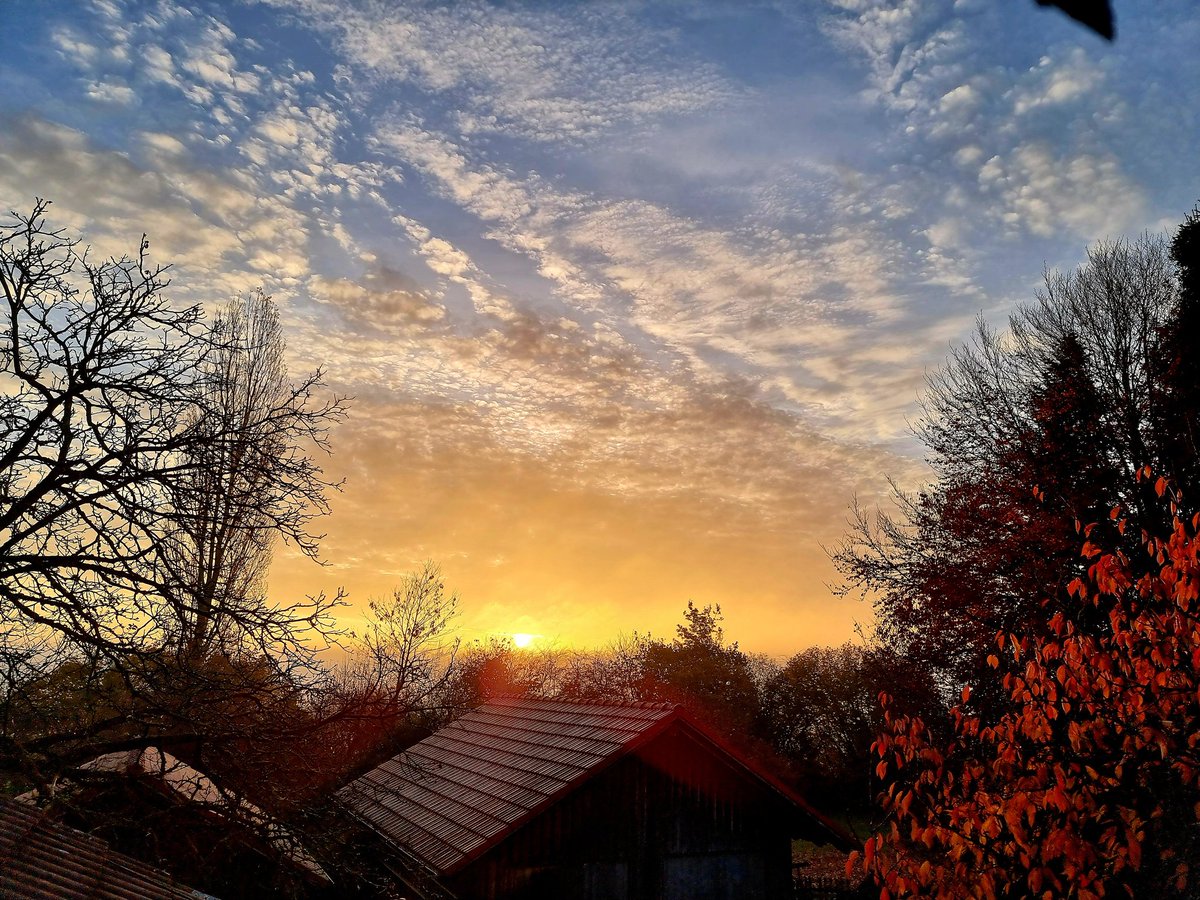 Guten Morgen am 1. November ... bei uns in Bayern ein Feiertag .... Allerheiligen ....