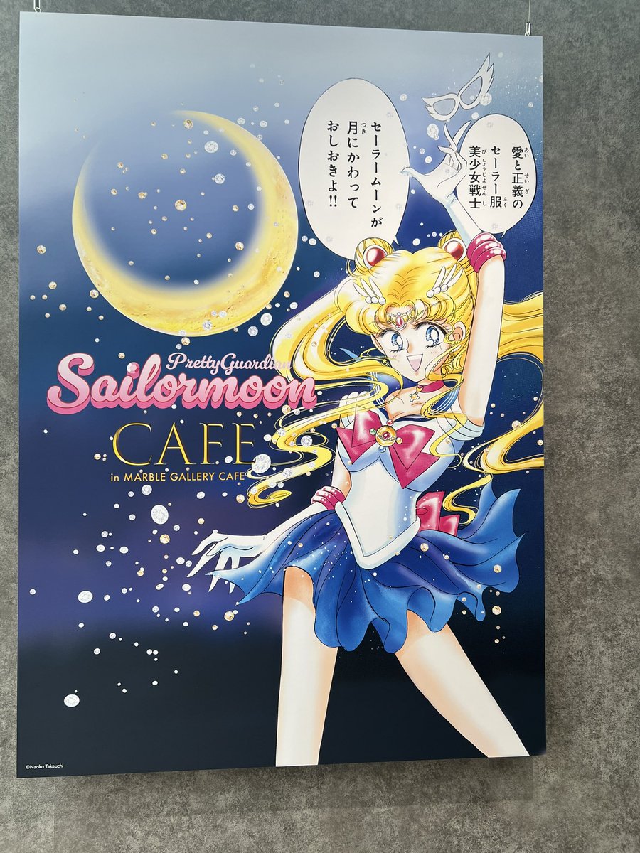 ⭐️里親募集中⭐️ 美しいブルーの背景 セーラームーン Sailor Moon s