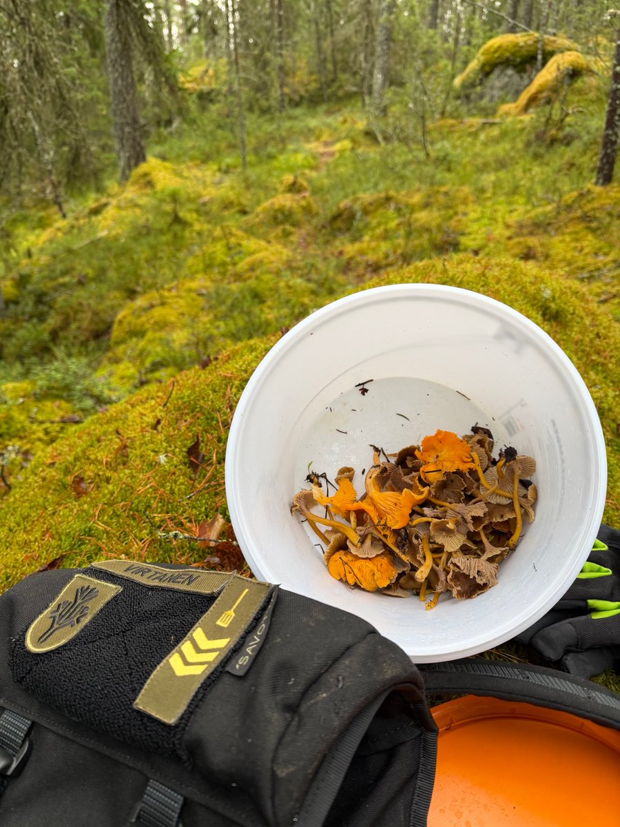 Winter is coming. But not quite here yet in Tampere.