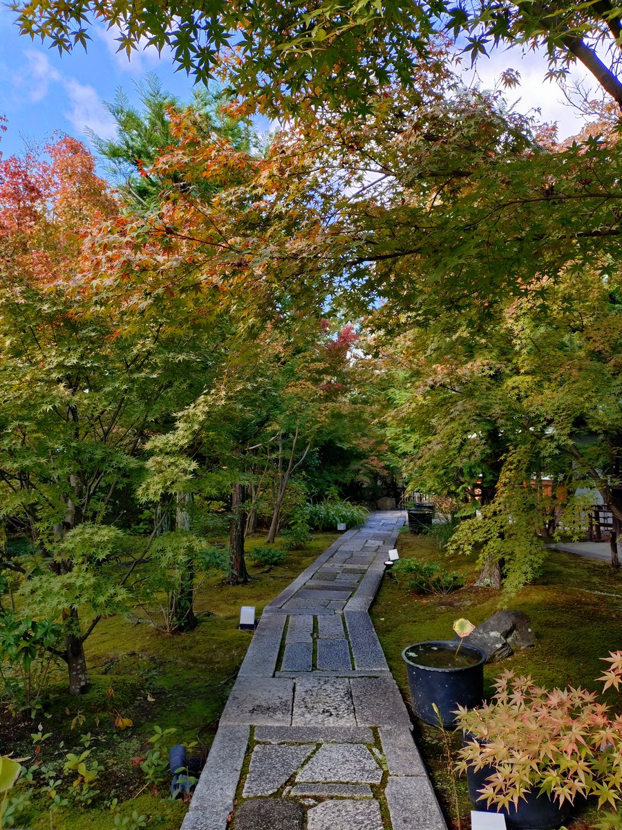 キャプテンロック (@2umbOoBQWR87tHg) / Posts / X