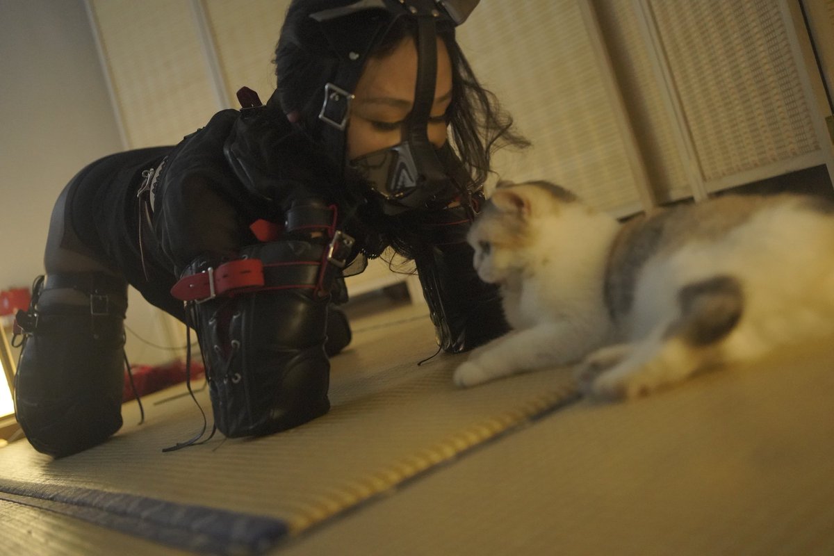 liu112358's tweet photo. 可爱的小猫咪，以及可爱的我！k9！
#伪娘 #男娘 #k9 #cd #紧缚 https://t.co/goiSb87XqM