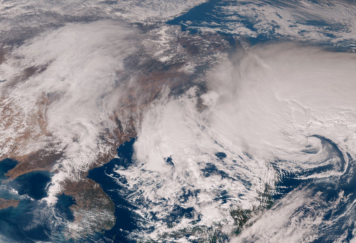 John Bell tweet media