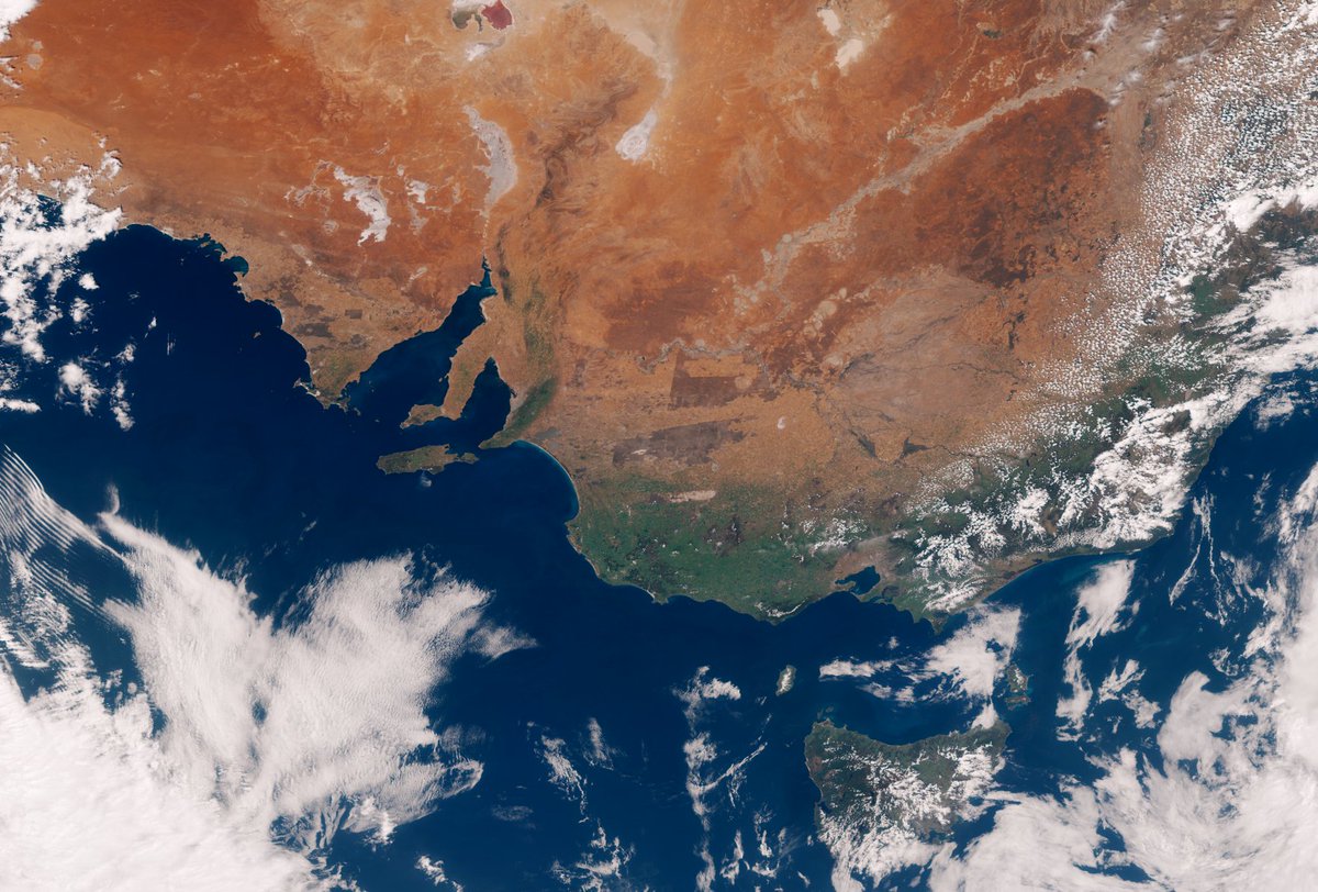 John Bell tweet media