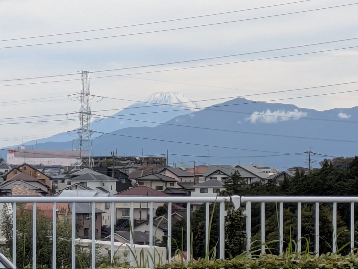 shorinjikemupo's tweet image. 今日(11/1)は、県警　少林寺拳法部