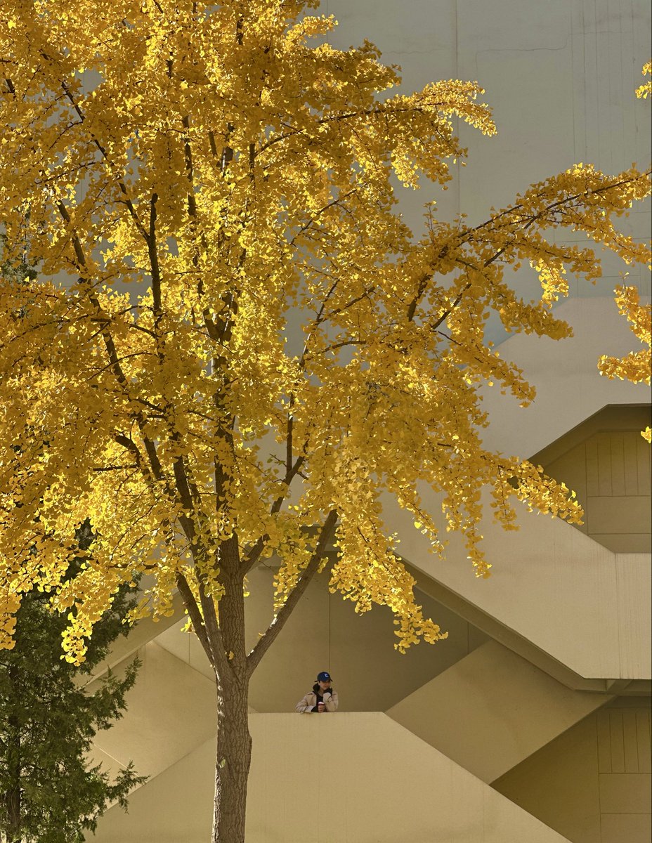 Elizabeth. V. Kité 🇹🇴 tweet media