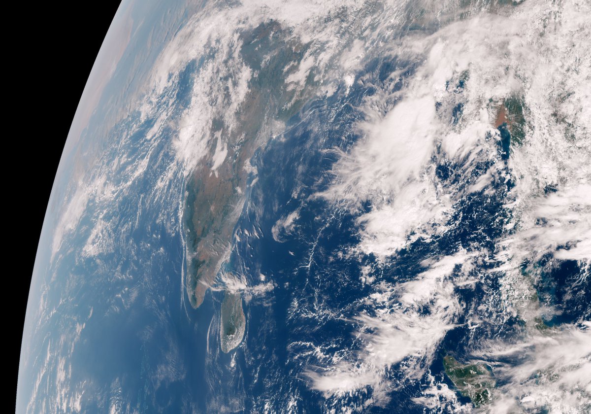 John Bell tweet media