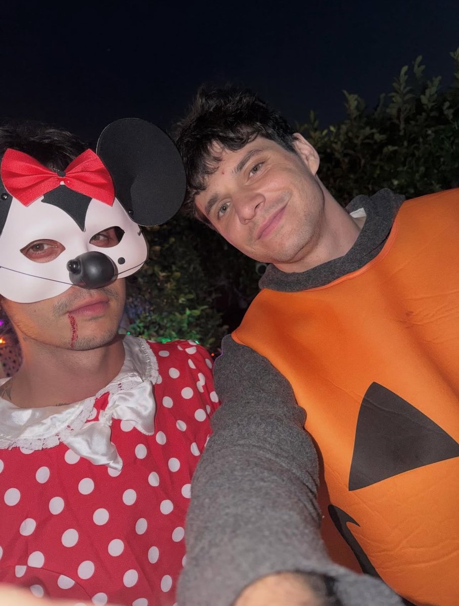 wallows archive tweet media