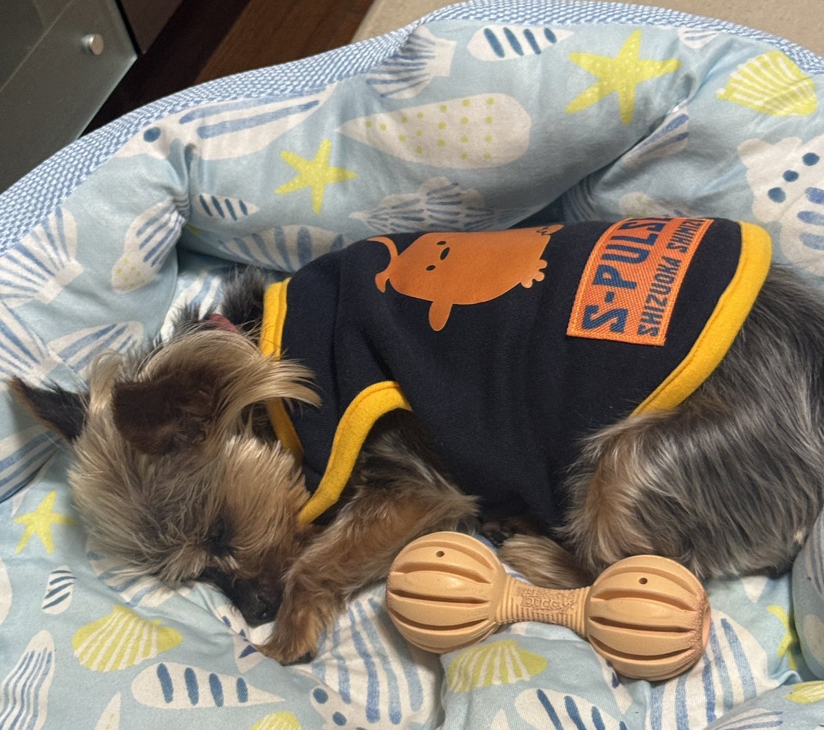 犬様U・x・U こう☆ on X