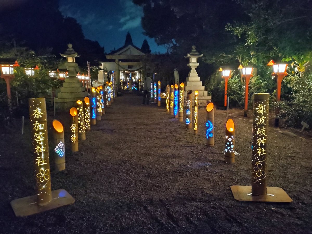 yotsuba9666's tweet photo. 📷️も撮ったよ😊
#都波岐奈加等神社 
#竹あかり
#BambooLight https://t.co/cnTBguoW3C