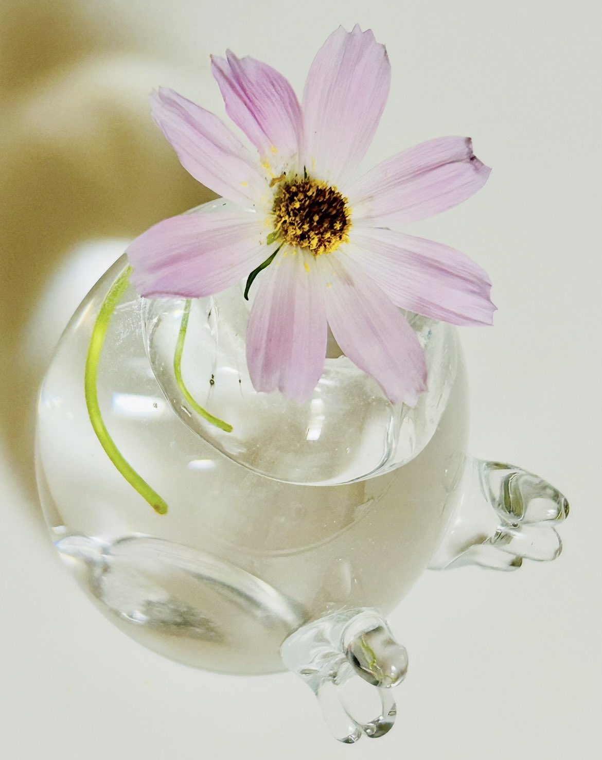 想い出と断捨離 - Search / X