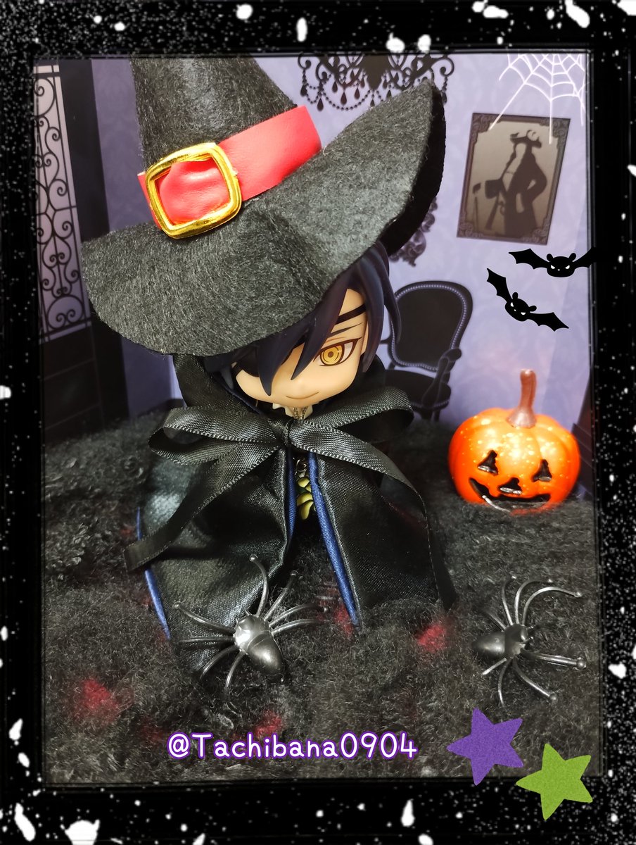 ジーノたん✩✩✩様確認写真　金華山子犬&ベルーガ 愛知県のシーズー ゴールド＆ホワイト 男の子のご紹介(193208