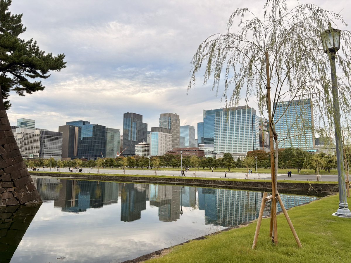 dirspielbergo's tweet image. What a city