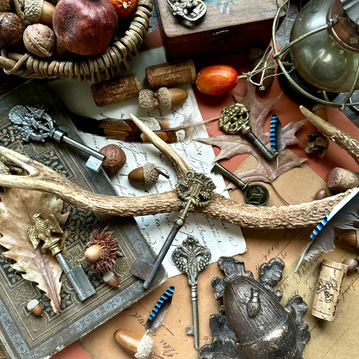 六六魚 (@rokurokugyo) / Posts / X