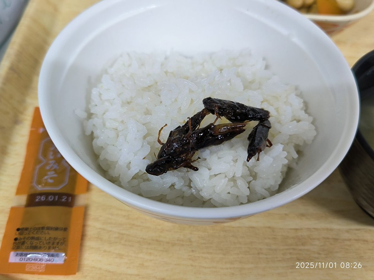 あさめしはバッタとたいみそ