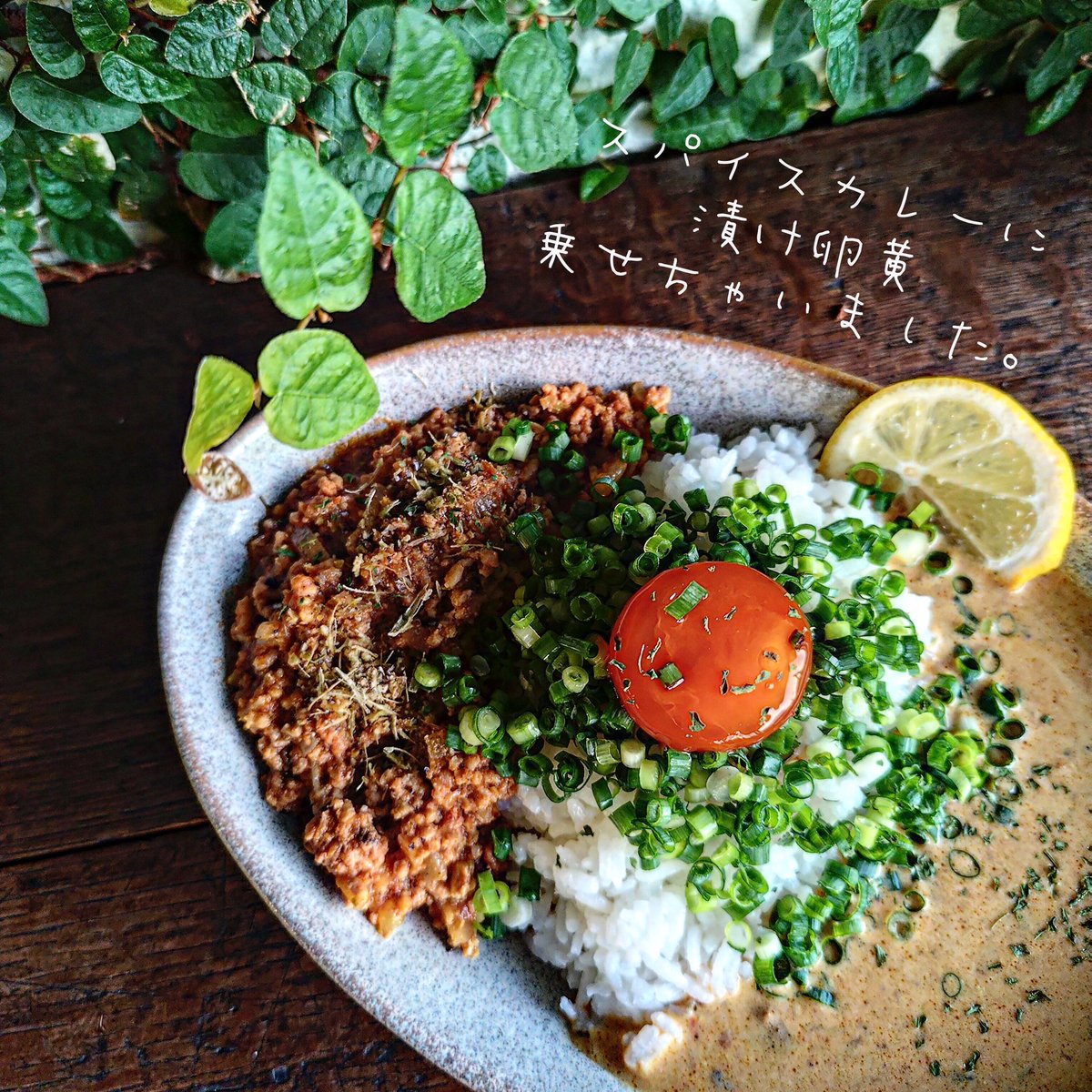 三連休皆さん何します？
まだ予定が決まってない方は
バナナカフェへ是非👐

写真は🤳
スパイスカレーに漬け卵黄乗せちゃいました🟠))

キーマと漬け卵黄⭕️
ルーと漬け卵黄⭕️
全部一緒に⭕️
誰ひとりとケンカせず
美味しさの三角関係が成立しました！

【定休日】
木曜、金曜

#ba7cafe
#ばななかふぇ