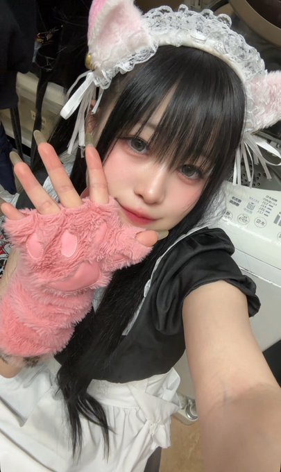 黒猫メイド魔法カフェ　ドン・キホーテ広島八丁堀店のツイート