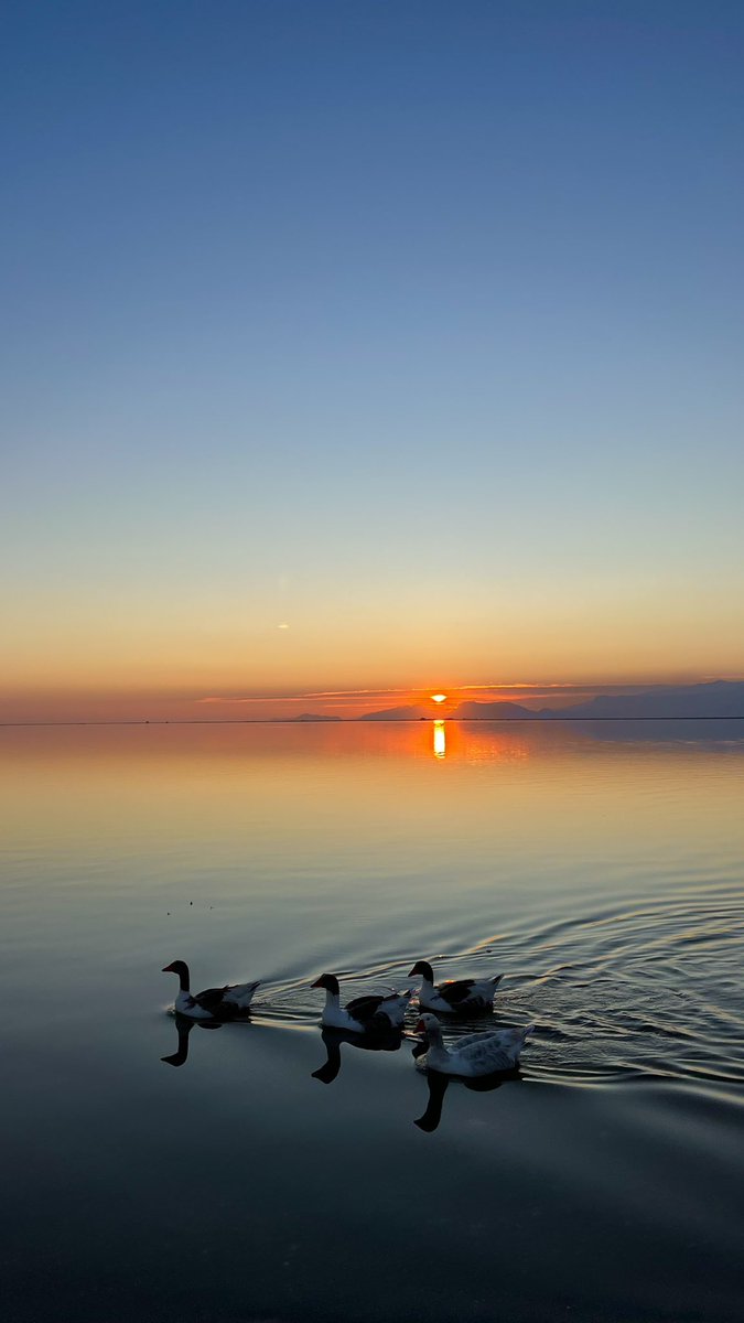 No Context Silifke tweet media