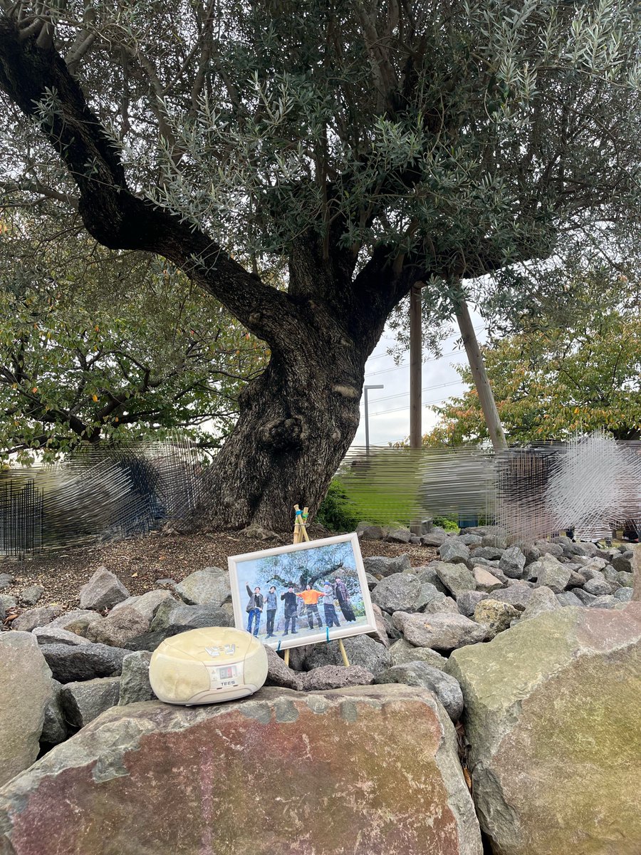 かもみーる。 on X